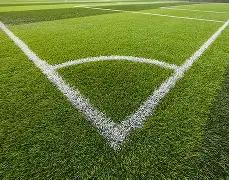 环保颜料创,新研发成功,DG视讯官网,DG真人视讯,DG真人,(Sports),DG视讯官网,DG真人官方平台