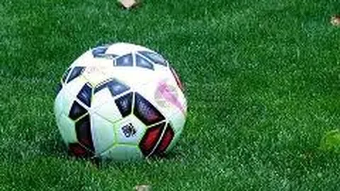 李楠男篮教练辞职申请已提交，静候体育总局审批结果