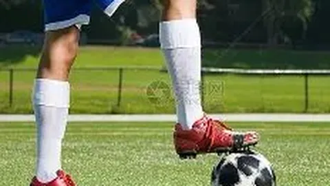 DG视讯官网 产品 101018 pxn