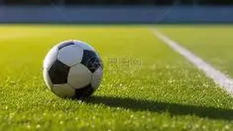 第十五届全国运动会网球选拔赛于横琴拉开帷幕