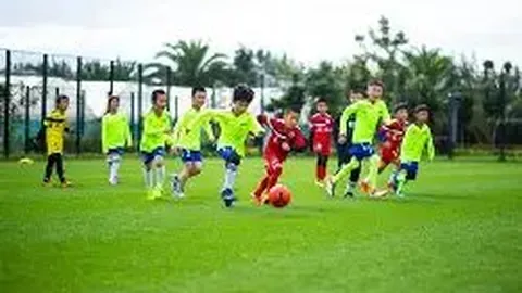 DG视讯官网 资讯 114038 sx8