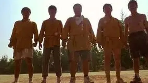 DG视讯官网 产品 114100 c8w