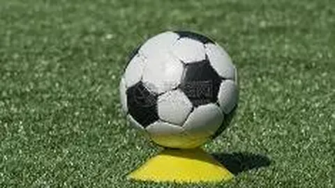 DG视讯官网 产品 113730 nlf