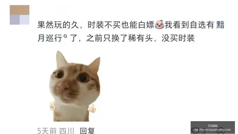 视讯官网 173518